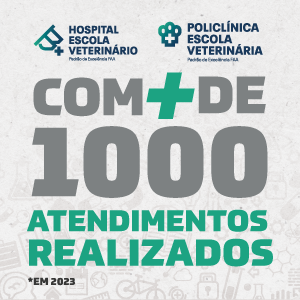 Hospital veterinário de Valença e policlínica veterinária com mais de 1000 atendimentos realizados